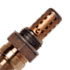 Oxygen Sensors