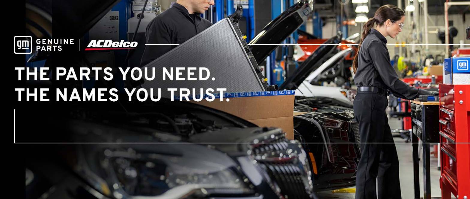 expert solutions