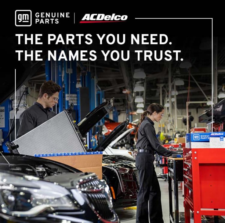 expert solutions