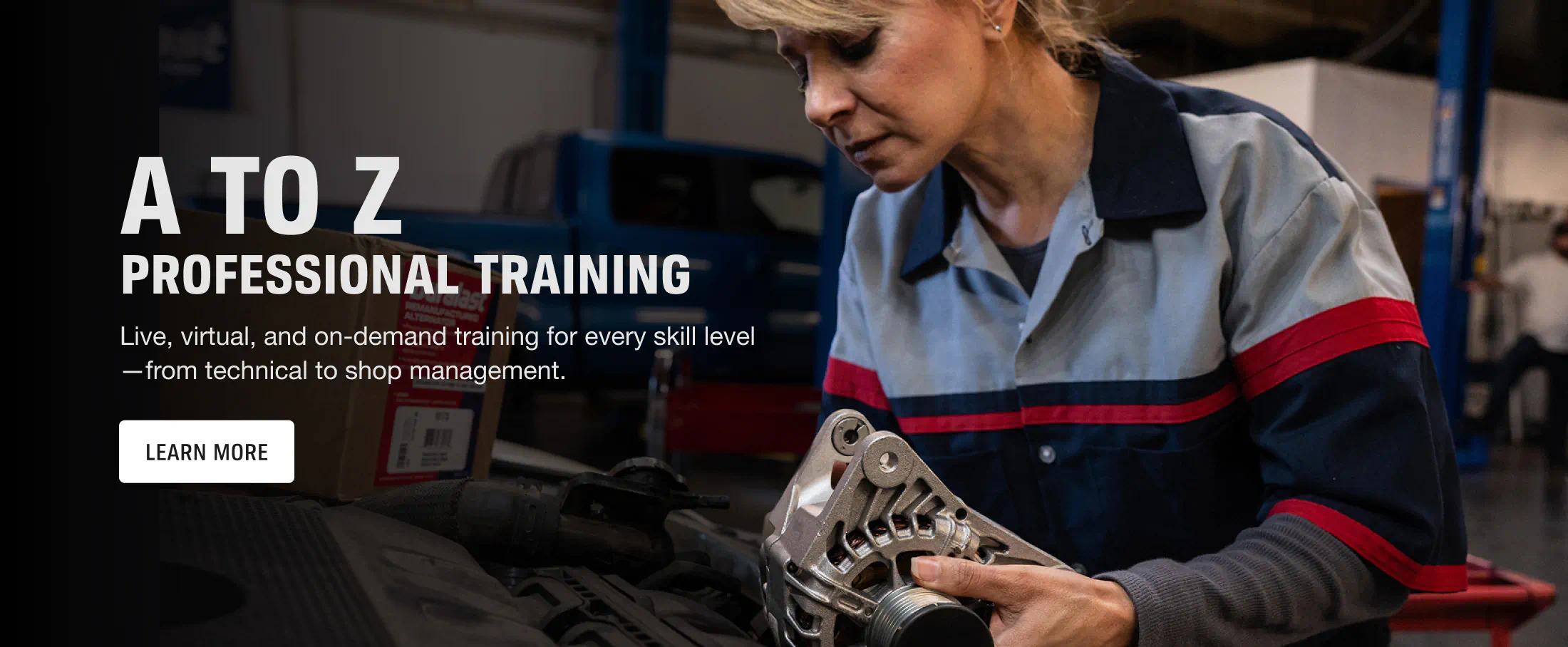 Professional Training