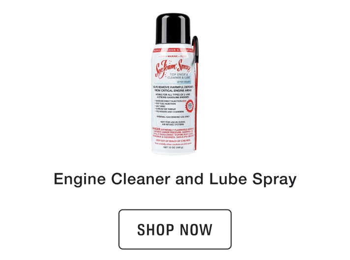 Sea Foam Engine Cleaner and Lube Spray 12oz