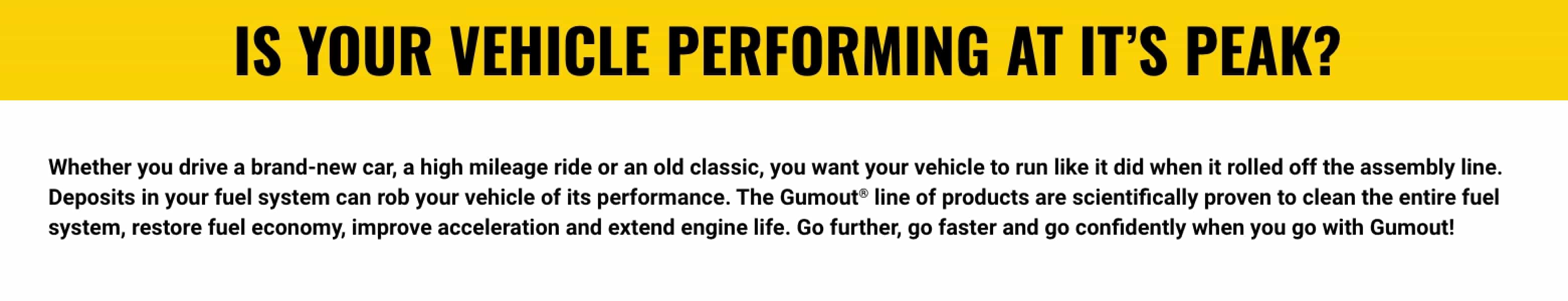 IS YOUR VEHICLE PERFORMING AT ITS PEAK? - Whether you drive a brand-new car, a high mileage ride or an old classic, you want your vehicle to run like it did when it rolled off the assembly line. Deposits in your fuel system can rob your vehicle of its performance. The Gumout® line of products are scientifically proven to clean the entire fuel system, restore fuel economy, improve acceleration and extend engine life. Go further, go faster and go confidently when you go with Gumout!