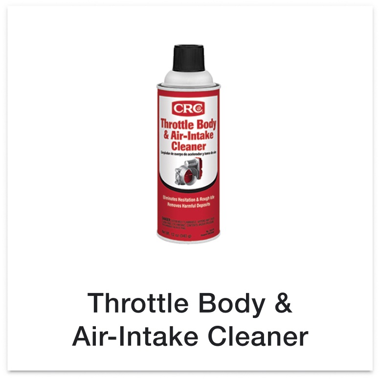 Throttle Body & Air-Intake Cleaner