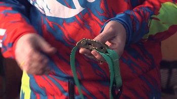 How To Thread And Properly Use a Smartstraps Cambuckle Tie Down