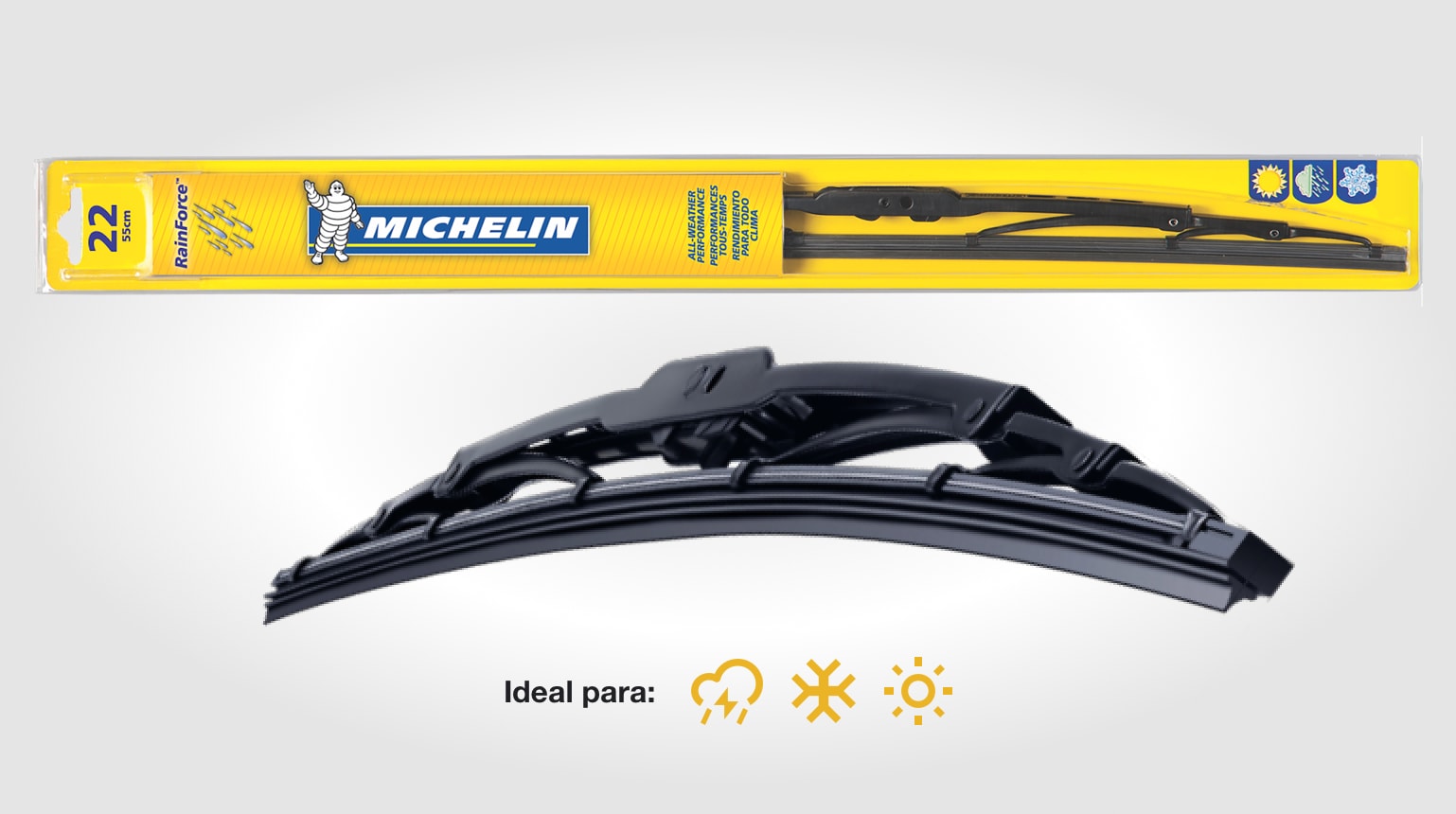 MICHELIN RAINFORCE