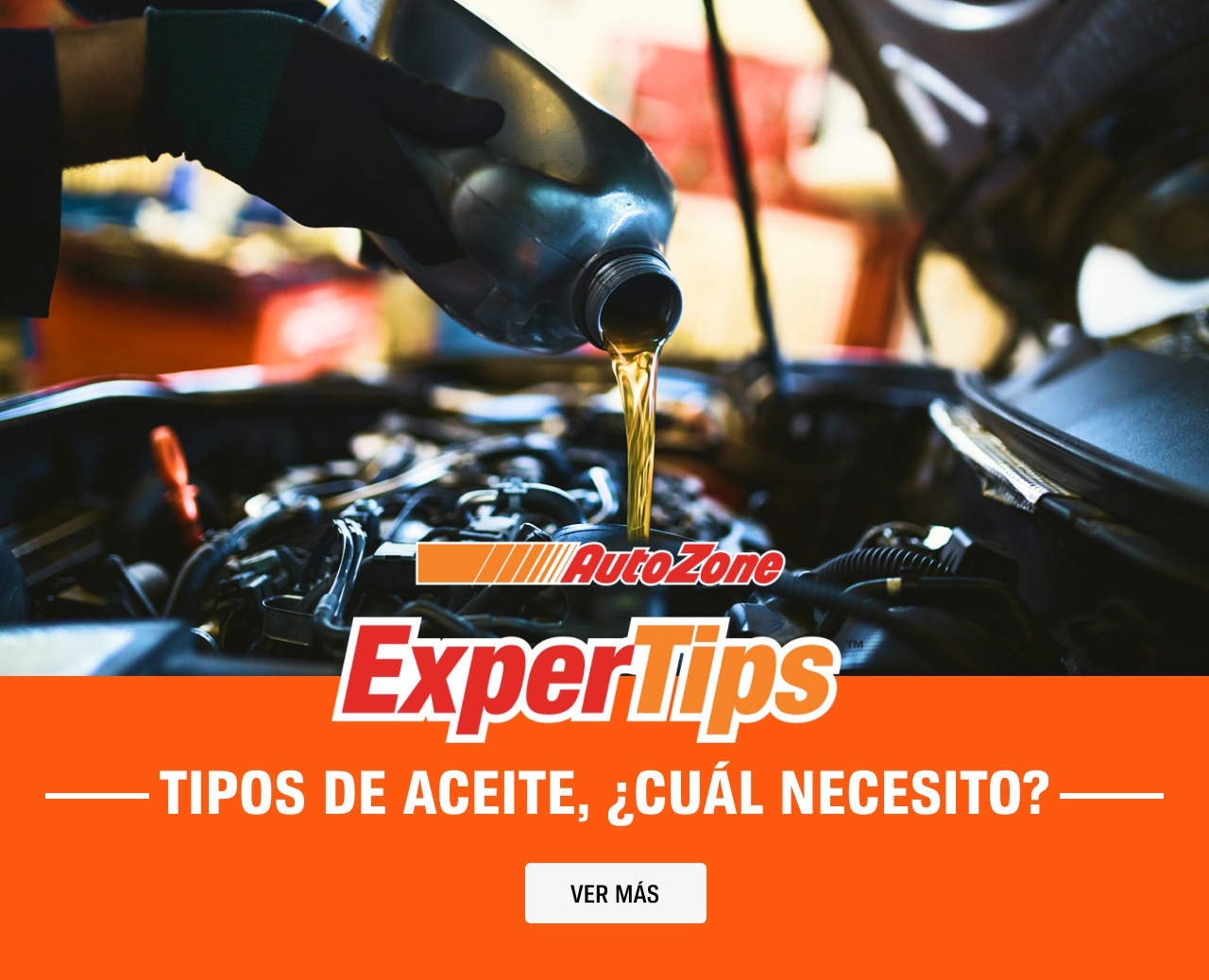 ExperTip Tipos de aceite, ¿cuál necesito?