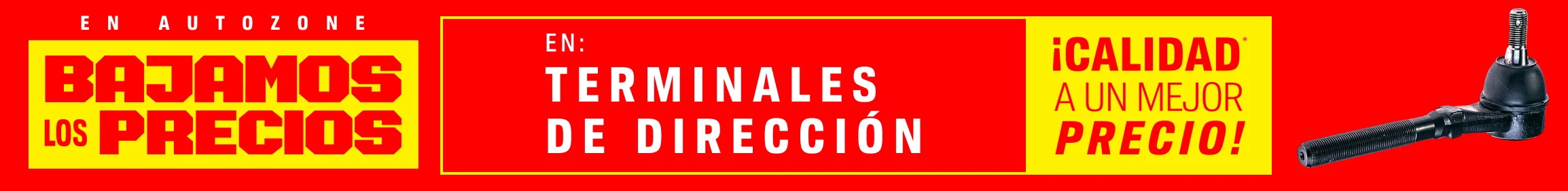 Terminal de dirección