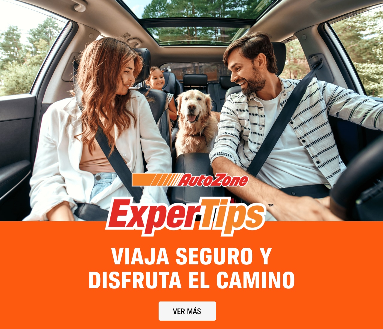 ExperTips: Viaja seguro y disfruta el camino.