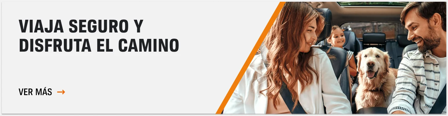 VIAJA SEGURO Y DISFRUTA EL CAMINO