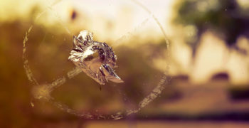How to Fix Small Windshield Cracks