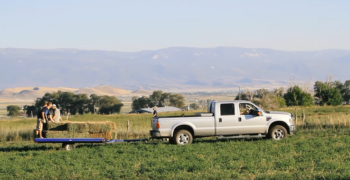 How to Grease Trailer Bearings copy